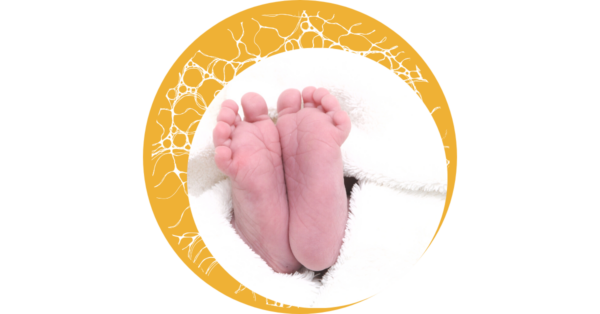 Titelbilder Blog (33)