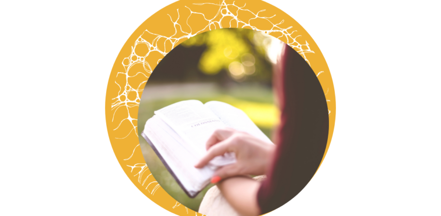 Titelbilder Blog (32) Buchempfehlungen