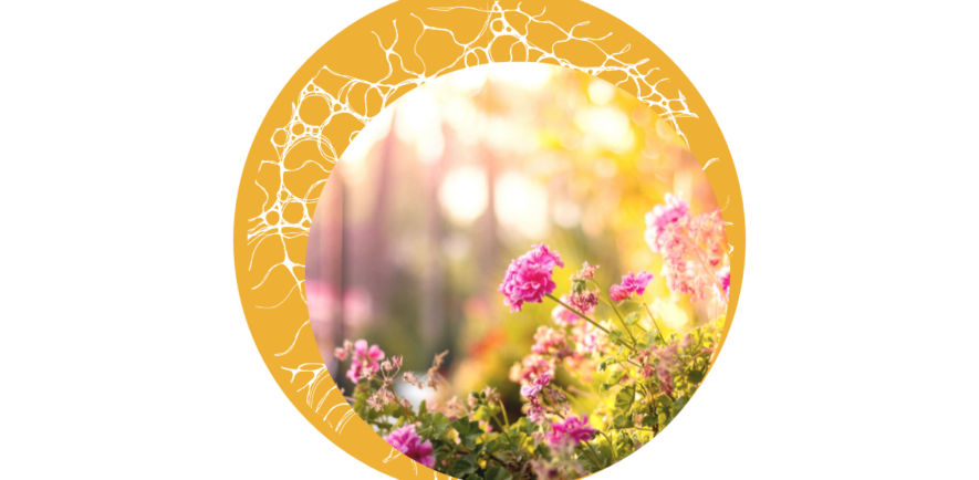 Titelbilder Blog (2)