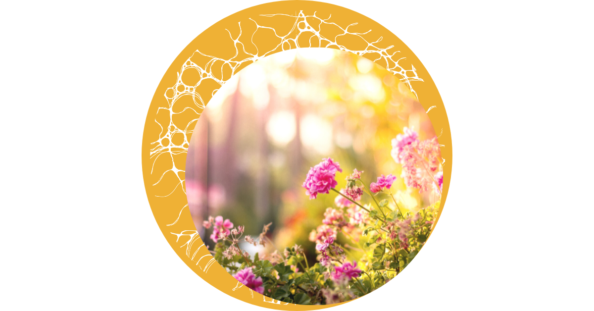 Titelbilder Blog (2)